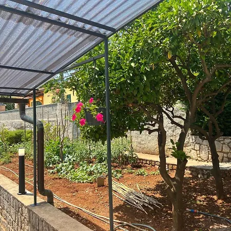 Maestro Apartman Icici